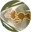 Drill Peck 2 (Dodrio).png