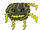 Thundoud
