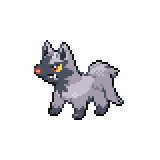 poochyena