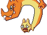 Charizardo