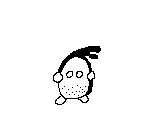 Koap