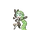 Meloetta