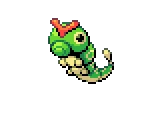 Caterpie