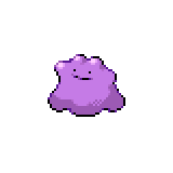 Pokemon fire ditto