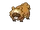 Bidoof