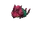 Venipede