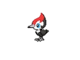 Pikipek