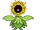 Mega Sunflora