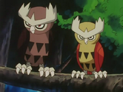 Ash Noctowl size