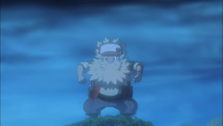 Bonji