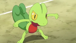 Treecko w 