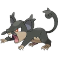 Alolański Rattata