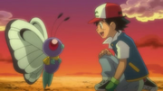 Ash Butterfree Goodbye