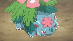 Mega Venusaur anime