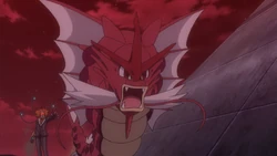 Lśniący Mega Gyarados w anime