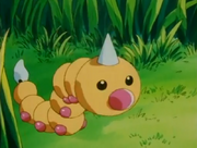 Casey Weedle.png