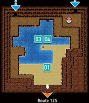 Shoal Cave entrance high tide ORAS