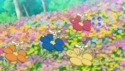 Flabébé w 