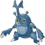 Heracross