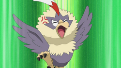 Rufflet anime