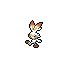 Scorbunny