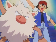 Ash and Primeape