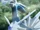Dialga (film)