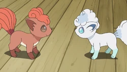 Vulpix anime