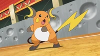 Raichu Visquez