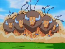 Tauros Herd