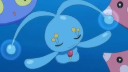 Manaphy w 