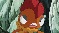 Scrafty anime