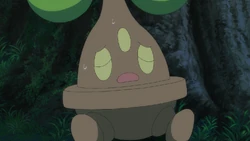 Bonsly w 