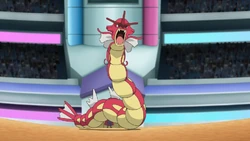  Gyarados w anime