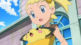 XY016