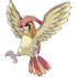 Pidgeotto