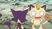 File-Meowth in love