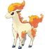 Ponyta