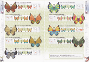 Vivillon locations 2