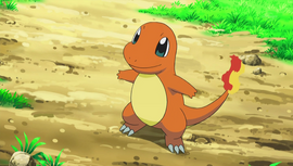 Ash Charmander