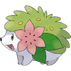 Shaymin