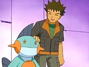 Brock and Marshtomp