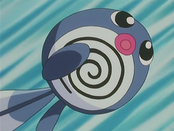 Poliwag Misty