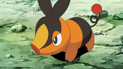 Tepig w 