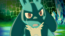 Lucario crying