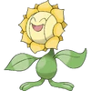 Sunflora