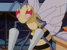 Ash Beedrill