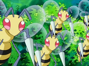 Beedrill DP099.png