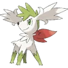 Shaymin Sky