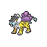 243MS.png